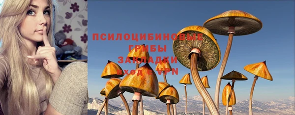 сатива Верхнеуральск
