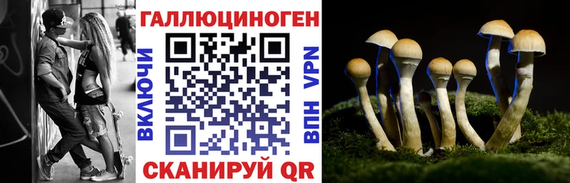 Галлюциногенные грибы ЛСД  Купить где  Буйнакск 